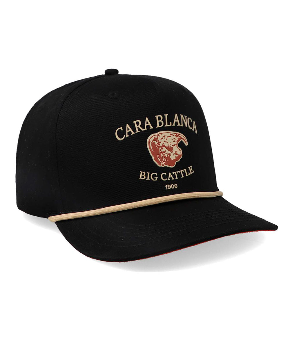 Big Cattle