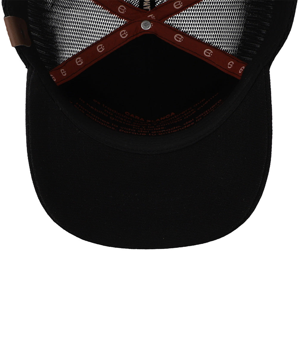 Double Line Star Black